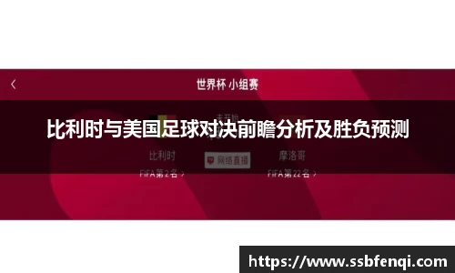 比利时与美国足球对决前瞻分析及胜负预测